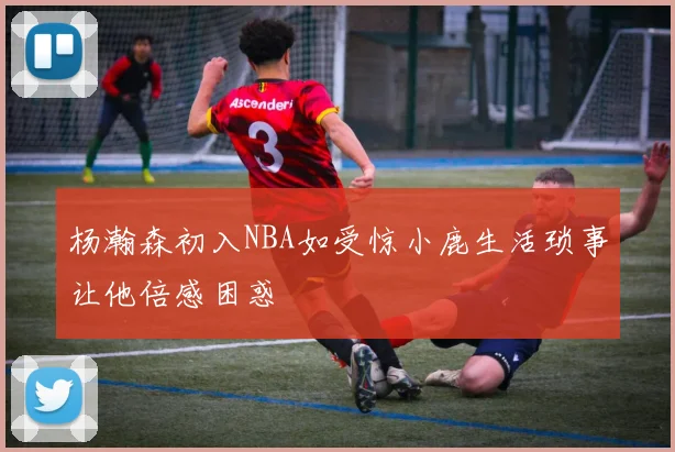 杨瀚森初入NBA如受惊小鹿生活琐事让他倍感困惑