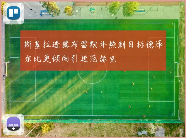 斯基拉透露布雷默非热刺目标德泽尔比更倾向引进范赫克
